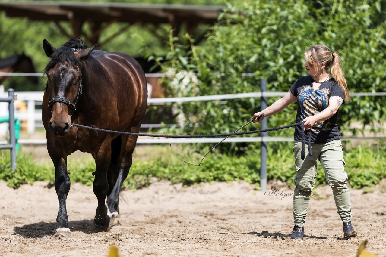 Bild 31 - Vivi